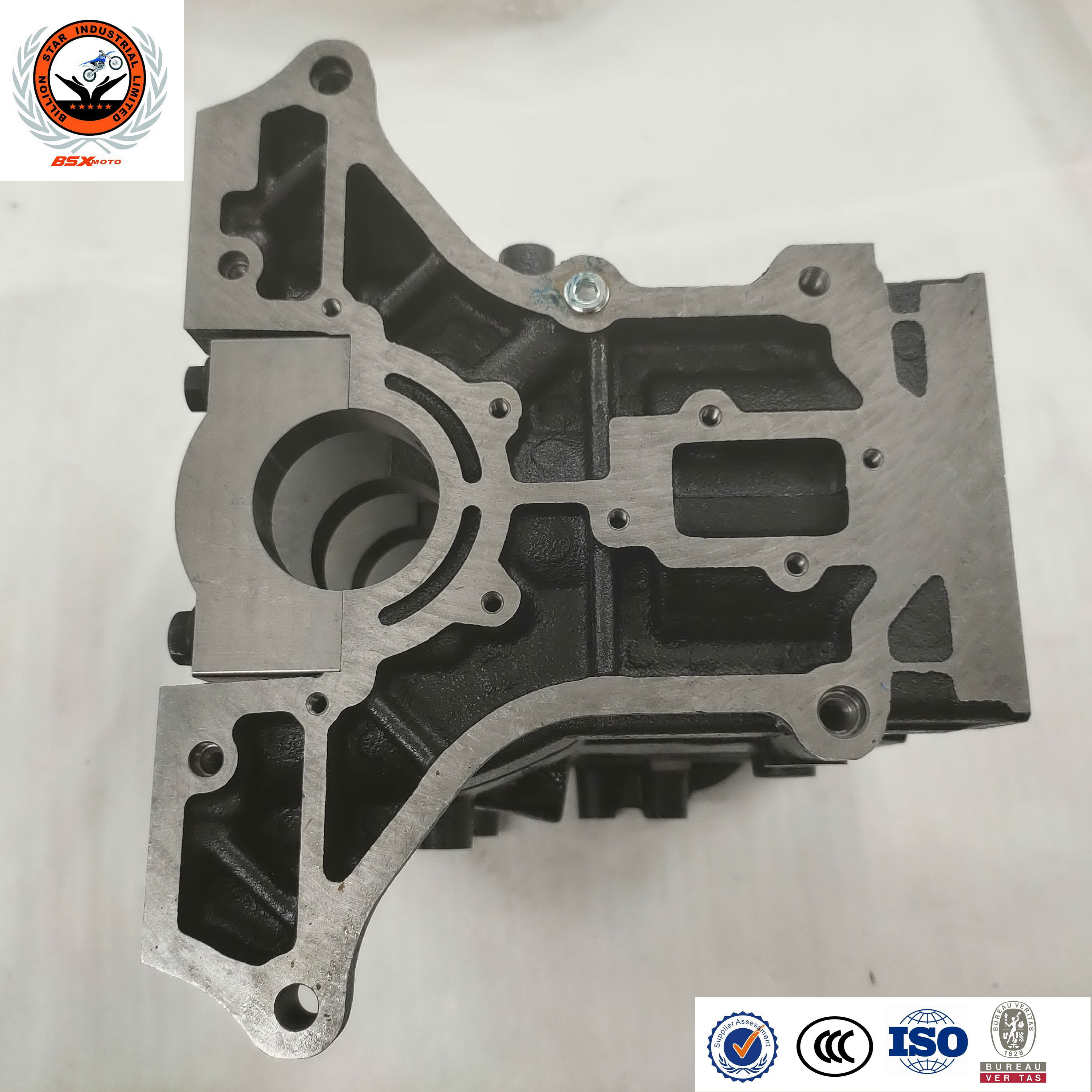 BSXMOTO 800cc Water Cooling Engine Black OEM Cylinder block Style Performance Color Method Origin Type Quality