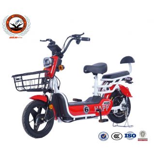 Best Selling 350W Motor 14 Inch Tire 2 Wheels 30Km/H 12Ah Battery Adult Electric Bikes With Double Seat