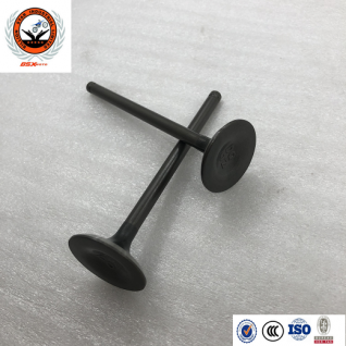 China Supplier custom production tricycle LIFAN 250 water engine assembly exhaust valve Origin Type Place Model