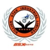 BILLION STAR INDUSTRIAL LIMITED